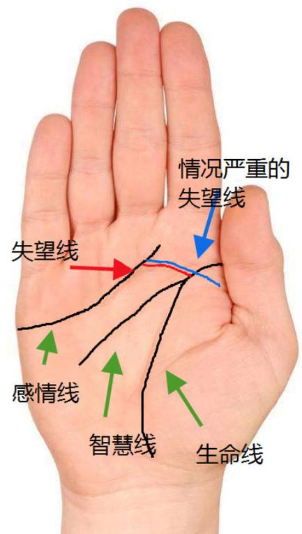 分叉的感情线_分叉线是什么_感情线分叉