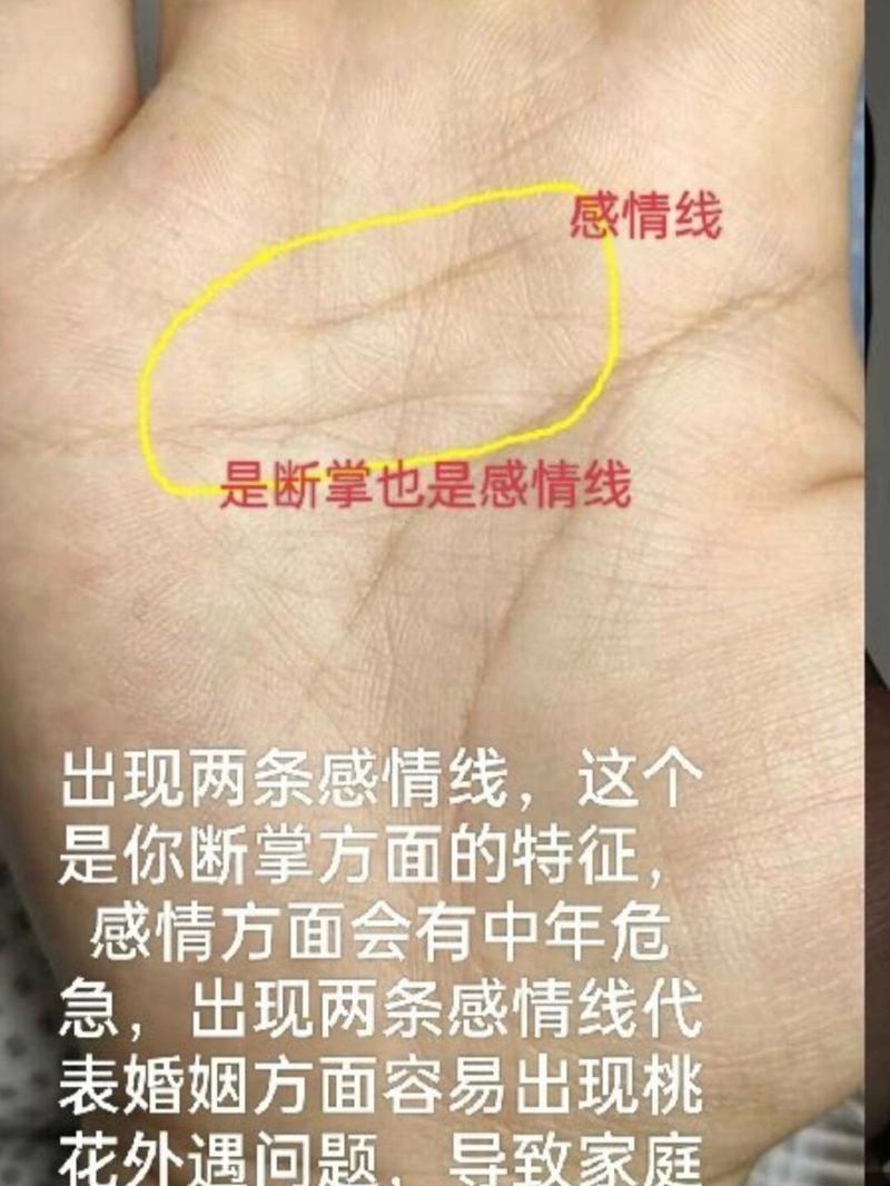 感情线分叉_感情线分叉再分叉_分叉的感情线